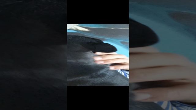 1000065543.mp4 Друг