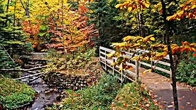 Рыжая красавица осень