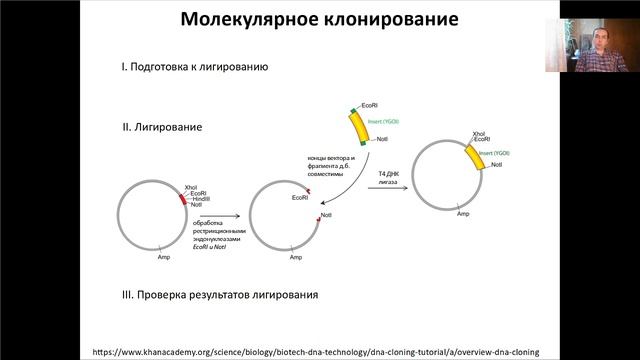 Лекция 9. Молекулярное клонирование (2021).
