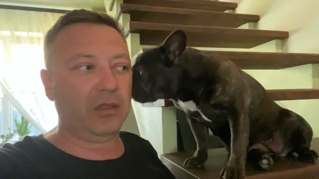 ПАПА кормит НОВУЮ СОСЕДКУ с МИТЕЙ и МАСЕЙ смотреть онлайн