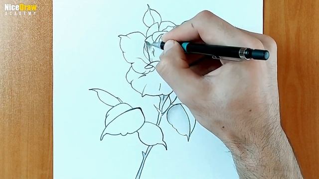 HOW TO DRAW A BEAUTIFUL FLOWER PENCIL SKETCH DRAWING смотреть онлайн