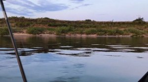 Suzuki df 9.9 после прошивки.