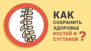 Как сохранить здоровье костей и суставов. Организм человека. Нескучная анатомия