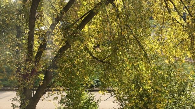 Нижегородская осень смотреть онлайн