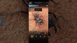 The Ants Underground Kingdom! Краткий ОБЗОР!