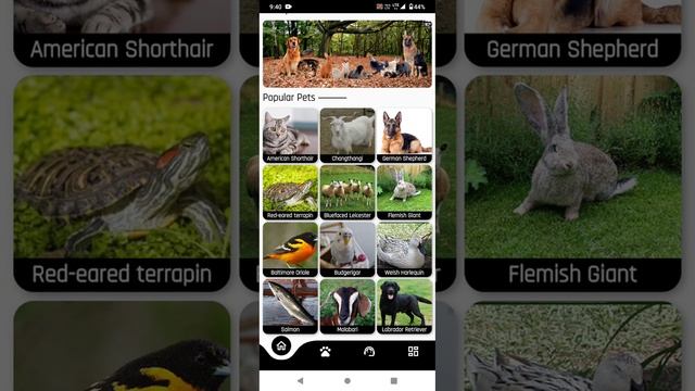 Modern UI using #flutter, #firebase, #animation and showing data with firebase database in my app смотреть онлайн