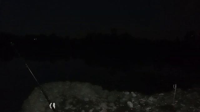 BOL BOL İSRAİL SAZANI & KEPENEZ BALIĞI AVI DİYARBAKIR/LOTS OF ISRAELI CARP & KEPENEZ FISH HUNTING смотреть онлайн