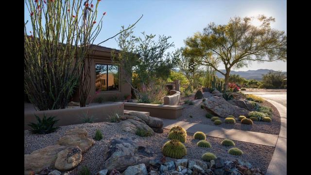 Desert Landscaping ideas смотреть онлайн