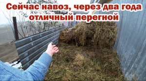 Как получить перегной из навоза?
