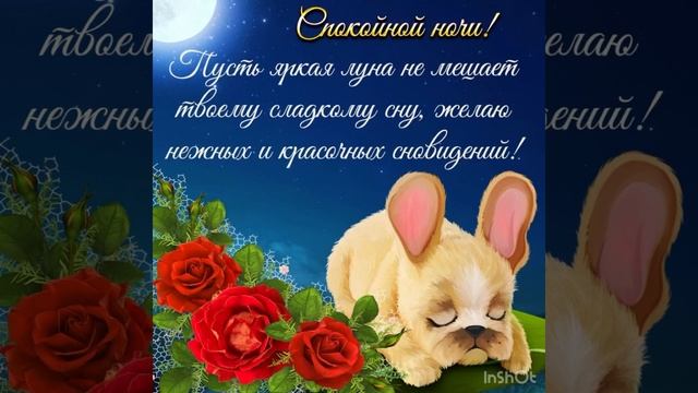 Спокойной ночи ? Приятных снов, до завтра ???