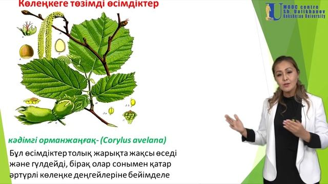 Лекция №3. Жарық - абиотикалық фактор ретінде смотреть онлайн