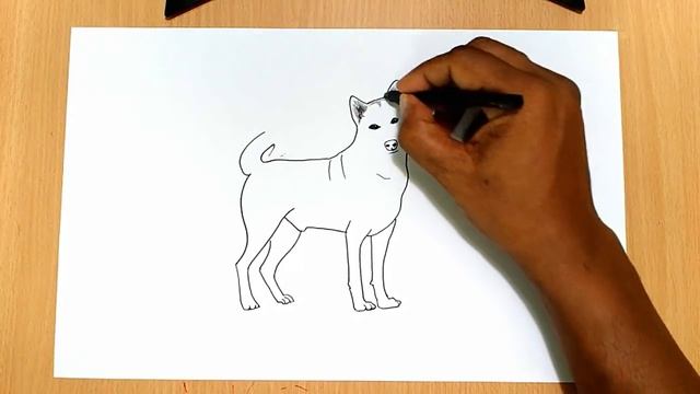 How to Draw a Realistic Dog смотреть онлайн