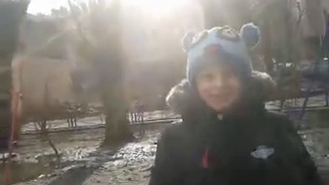 Глебка на прогулке. смотреть онлайн