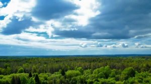 Красивая песня  Журавли!  Белорусская природа