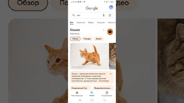 Милая функция в Гугле! смотреть онлайн