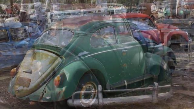 Bugs from down under смотреть онлайн
