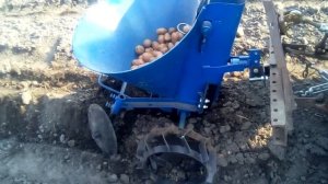 посадка картофеля Картофелесажалка для минитрактора