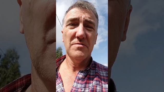 Сбер онлайн осаго 2024 смотреть онлайн