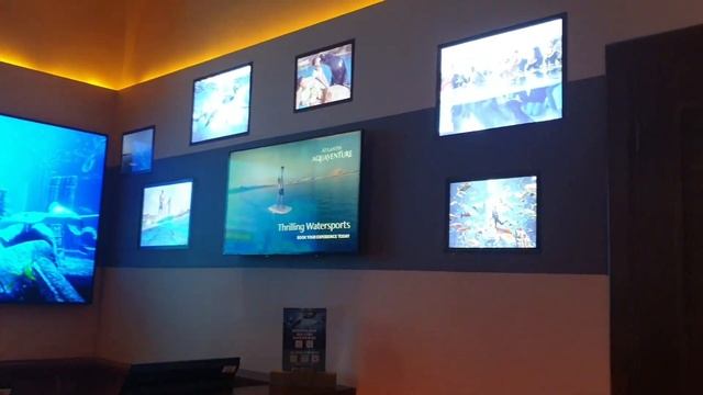 Atlantis The Palm 5* Часть 1,Пальм Джумейра.Дубай .Отличный семейный отель #атлантис смотреть онлайн