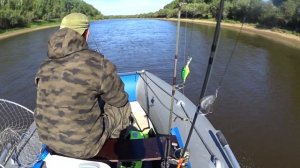 Рыбалка на Лозьве в июле, ищем трофеи, щука, окунь.Fishing on Lozva in July