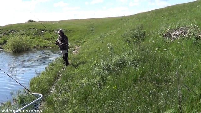 ВЕСЕННИЙ КАРАСЬ,МОНСТРЫ ЗА КИЛО... смотреть онлайн