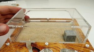 Пришла посылка с муравьями! Муравьиная ферма! messor structor,  обзор