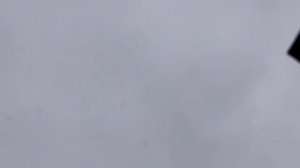 Голуби Свердловские высоколётные