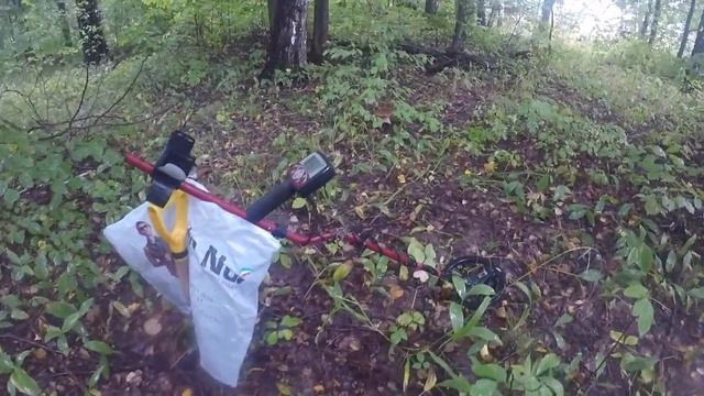 СЕРЕБРО С ГРИБАМИ ИЛИ ГРИБЫ С СЕРЕБРОМ СЕНТЯБРЬ 2017 SILVER AND MUSHROOMS смотреть онлайн