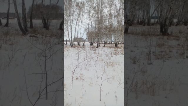 ОХОТА.ИЖ 43 ем , дробь 4.(часть 1). смотреть онлайн