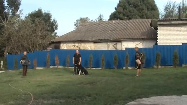 Питомник  ВЕО FCI/КСУ 