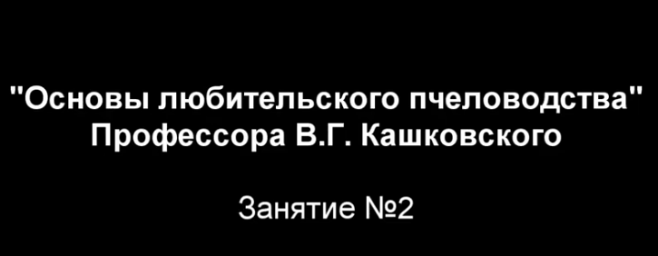 Курсы В Г Кашковского  Занятие №2