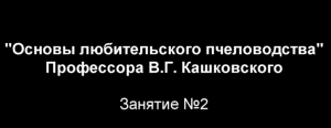 Курсы В Г Кашковского  Занятие №2