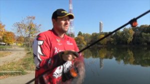 Sportex! Новинка 2019! Ураган! Advancer Carp 13ft 3,75lb