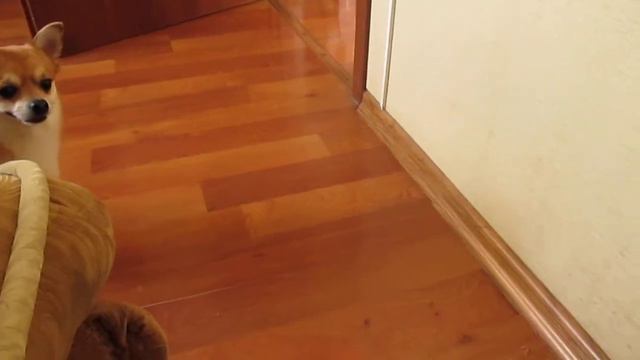 Начинаю учиться говорить смотреть онлайн