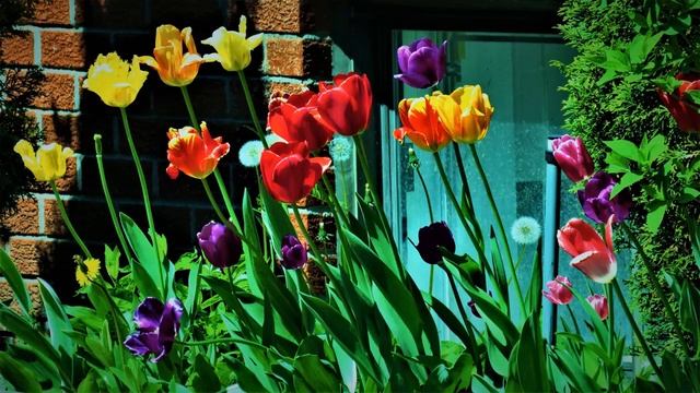 Meditation Relaxing Music Photo By Canon SX60HS