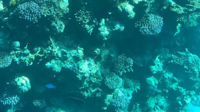 RELAXING MUSIC. МЕДИТАЦИЯ ВОДА. ВОССТАНОВЛЕНИЕ ЭНЕРГИИ, СНЯТИЕ СТРЕССА И НАПРЯЖЕНИЯ. смотреть онлайн