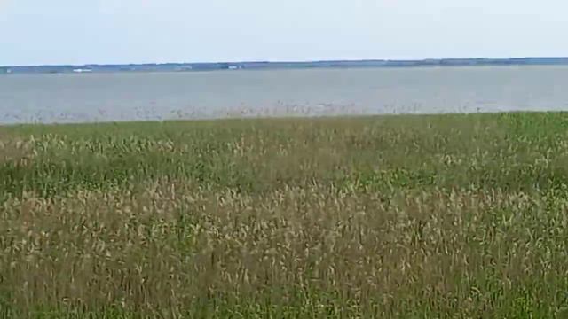 Куршская коса -- жемчужина у моря! смотреть онлайн