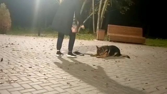 🍁Интеллект экспромтом💥первый раз объединили несколько команд 4мес.⭐️ смотреть онлайн