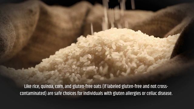 Delicious and Nutritious Allergy-Friendly Recipes: Boost Your Health and Manage Allergies смотреть онлайн