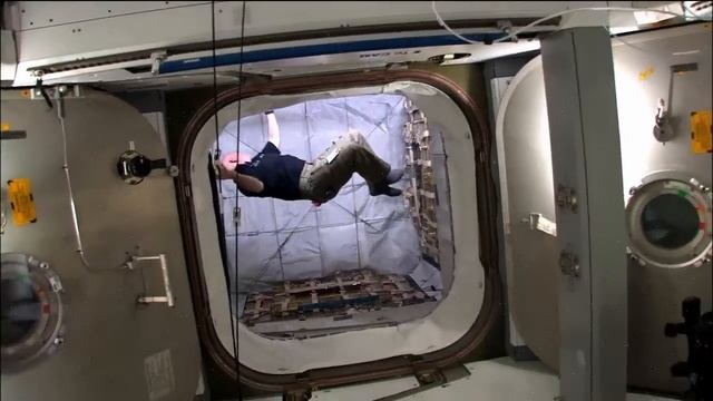 Space Station Stories: The One Year Mission смотреть онлайн