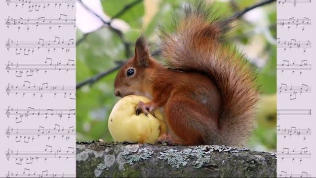 Классическая музыка для детей (2) смотреть онлайн