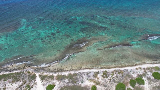 Капелька надежды смотреть онлайн