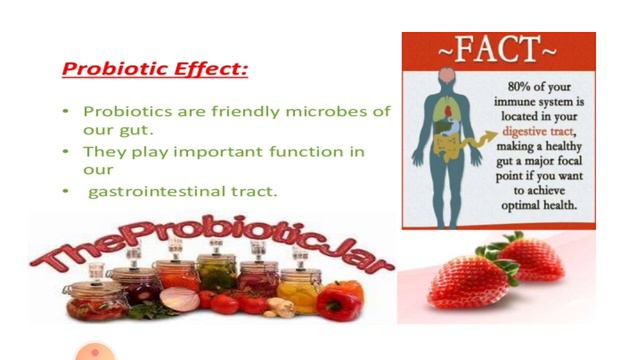 fermented foods смотреть онлайн