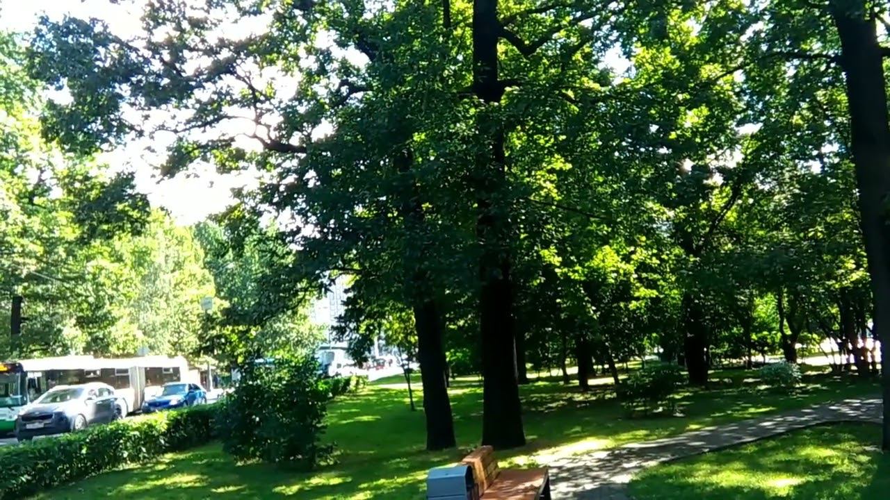 8 августа 2024 г. смотреть онлайн