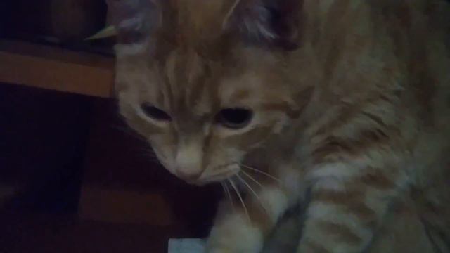 Ну,давай поиграем