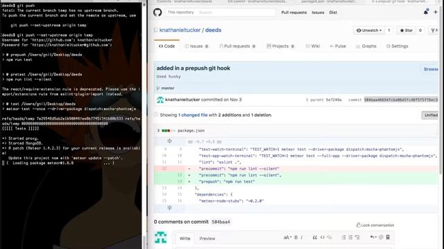 Meteor Maxims- Chapter 1: Husky and the Git Prepush Hook смотреть онлайн
