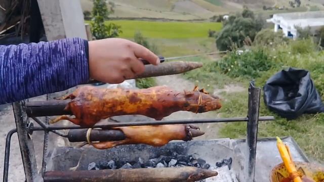 По местному Куй по нашему Морская свинка в Эквадоре. смотреть онлайн