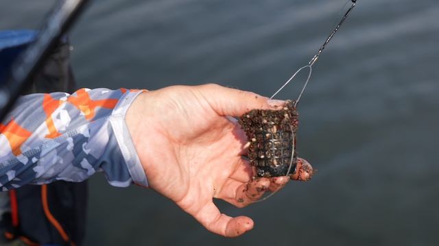 "РЫБОЛОВНЫЙ СПОРТ" Ловля леща в Бретеевском парке на валерьяну и корвалол смотреть онлайн