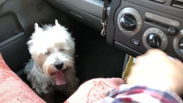 МНОГО БОЛТОВНИ. Каворкинг в Магнитогорске. Три урока за день. смотреть онлайн