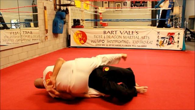 Ground and Pound STREET FIGHT! And how to escape an defend against it, Bart Vale. Shootfighting MMA смотреть онлайн